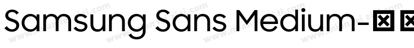Samsung Sans Medium字体转换